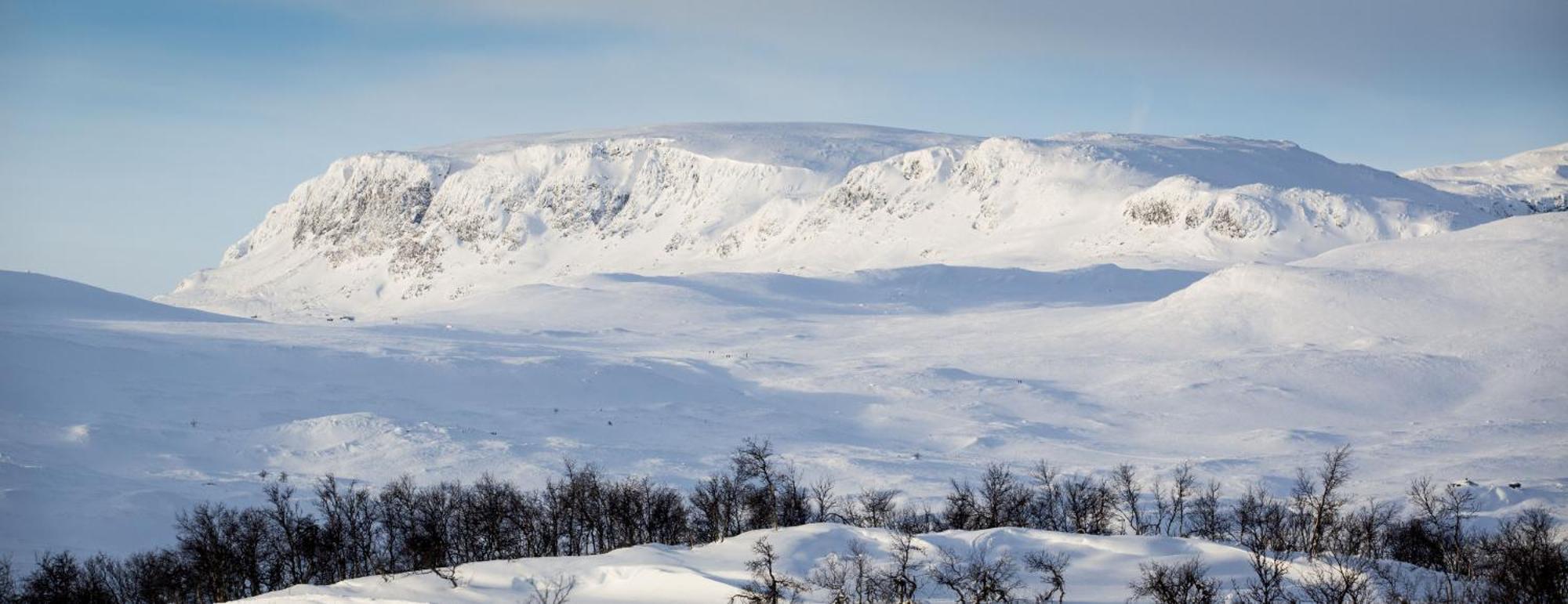 Koselig Hytte Med Usjenert Og Solrik Beliggenhet Гейло Екстер'єр фото